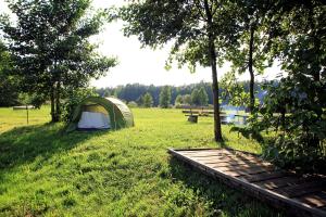ein Zelt auf einem Feld neben einem Picknicktisch in der Unterkunft Zielony Dom - Przystań Kajakowa Zakole in Krasnopol