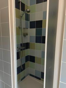 een douche in een badkamer met kleurrijke tegels bij Quinta do Eco in Vila de Rei