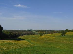 a field of green grass with a dirt road at Ferienwohnung Besenfelder in Notzingen