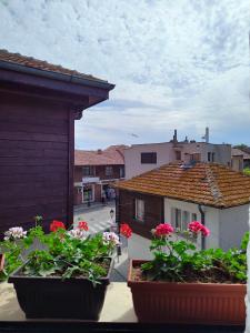 two pots of flowers on the balcony of a house at Guest Rooms Melsambria in Nesebar
