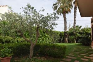 a tree in the yard of a house at Villa Marinella in Marinella di Selinunte