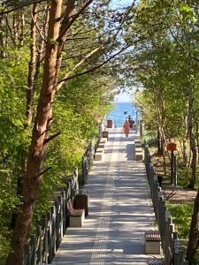 a path with trees and a person walking down it at Apartament Przy Plaży in Władysławowo
