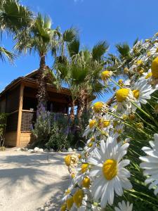 una casa con un ramo de flores delante de ella en Kon Tiki en Saint-Tropez