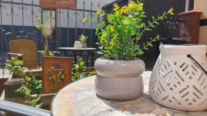Zahrada ubytování Apartment Grüner Fürst mit Sitzecke im Innenhof & Nähe Park & Erdgeschoss