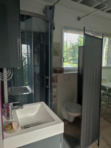 ein Badezimmer mit Waschbecken und Toilette in der Unterkunft Studio meublé 1 pièce entièrement équipé sans cloisons séparatives in Chavagnes-en-Paillers + 13 Fotos
