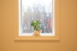 Fotografie z fotogalerie ubytování Xiao Wang v destinaci Toronto