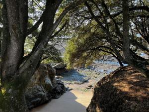 Naturlandskabet i nærheden af villaen + 8 billeder