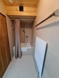 a small bathroom with a shower and a toilet at Der Kristall by Globalimmoservice in Bad Kleinkirchheim