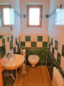 y baño con lavabo y aseo. en Haus Renata by Globalimmoservice en Bad Kleinkirchheim