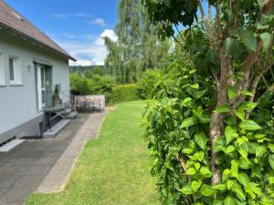 a hedge in front of a house with a yard at Nordic Charme by B&B in Bad Gandersheim