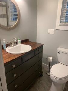 a bathroom with a sink and a toilet and a mirror at A beautiful sunset cottage in Hendersonville