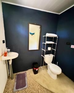 een badkamer met een toilet, een wastafel en een spiegel bij Deer House Cabuya in Cabuya