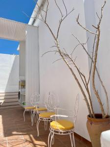 Balkón nebo terasa v ubytování Guest House Espinardo + 35 fotografií