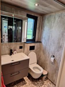 a bathroom with a toilet and a sink and a mirror at Microen in Stryn +14 photos