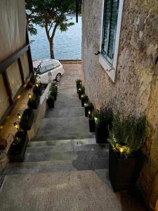 Zahrada ubytování Apartments Kiro