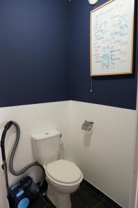 een badkamer met een wit toilet en een blauwe muur bij Charmant Appartement au Pré in Pré Saint Gervais +26 foto's