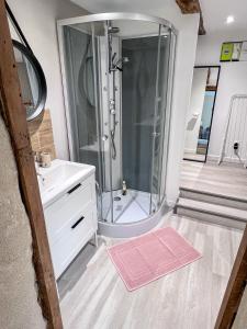 uma casa de banho com um chuveiro e um lavatório. em Appt dans maison typique avec jardin privé em Chinon