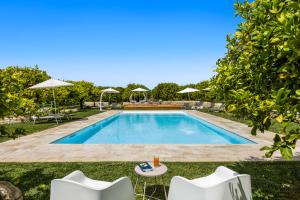 a pool with chairs and umbrellas in a yard at Fiore di Vendicari B&B - Sicilian Charme, Lemon Grove and Sea in Noto
