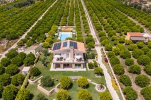 an aerial view of a house in a vineyard at Fiore di Vendicari B&B - Sicilian Charme, Lemon Grove and Sea in Noto