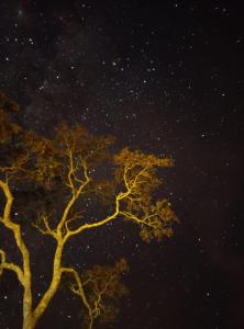 Foto sihtkohas Guapé asuva majutusasutuse Paraiso na beira de cachoeiras Canyons Capitólio MG galeriist