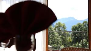 uma pessoa olhando pela janela para uma sacada em ALBERGO AL CACCIATORE em Paluzza
