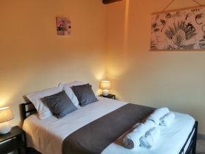 ein Schlafzimmer mit einem großen Bett mit Kissen darauf in der Unterkunft Gîte La Petite Fagette in Frayssinet-le-Gélat + 23 Fotos