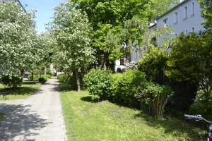 een pad in een park met bomen en struiken bij Słoneczny Apartament Symi in Sopot
