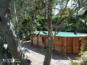 een hot tub in een tuin met een boom bij La Maison de Maïté in Cheval-Blanc