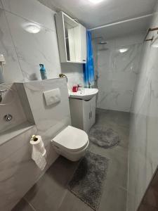Baño blanco con aseo y lavamanos en Apartmani Dramalj en Dramalj