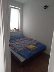 オルシュティンにあるApartament Bartąskaのギャラリーの写真