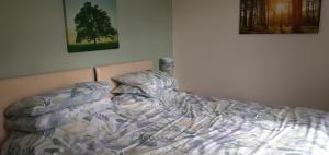 Gallery image of Plumtree House in Brigsteer +47 photos