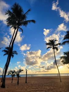 a group of palm trees on a beach at Apart-hotel 36m² Varanda Vista Mar no Cabo Branco in João Pessoa +38 photos