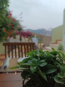 Fotografie z fotogalerie ubytování Seaside Apartment 2 v destinaci Emborios