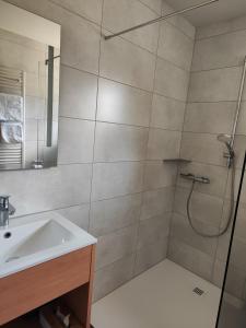bagno con doccia e lavandino di Gasthof Zahler a Röfingen