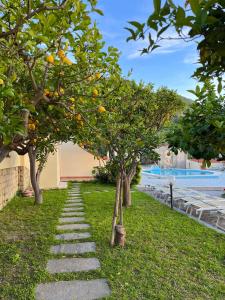 un sentiero in pietra a passo di un giardino con alberi di arancio di Resort Villa Flavio a Ischia