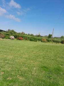 Mynd úr myndasafni af Nature's Rest í Carrick on Shannon