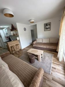 Area soggiorno di Apartman Jelica Divčibare