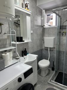 un bagno con un lavandino bianco e un water di Apartman Jelica Divčibare a Divčibare
