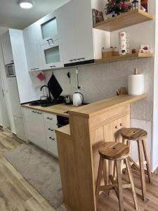 Köök või kööginurk majutusasutuses Apartman Jelica Divčibare +11 fotot