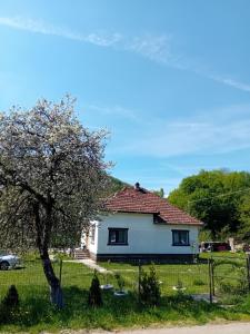 a white house with a tree in the yard at Casa Eva in Bucureşci