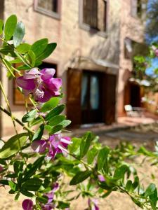 a purple flower in front of a building at Moresca Apartment by Jennas in Àrbatax +9 photos