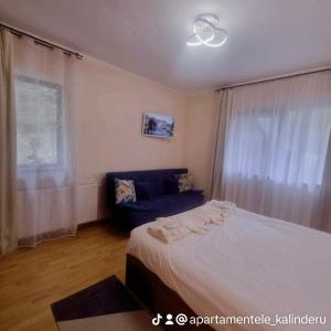 ein Schlafzimmer mit einem Bett und einem blauen Sofa in der Unterkunft Apartament Kalinderu K3 Busteni in Buşteni