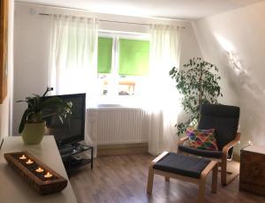 ein Wohnzimmer mit einem TV, einem Stuhl und einem Tisch in der Unterkunft Ferienwohnung Richtermühle in Saupsdorf