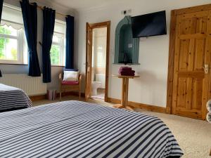Schlafzimmer mit einem Bett, einem Fenster und einer Tür in der Unterkunft Rocklands Guesthouse in Castlebar