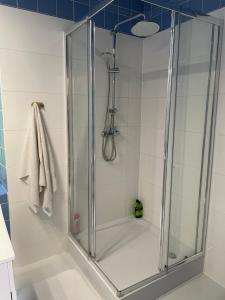 W łazience znajduje się prysznic ze szklanymi drzwiami. w obiekcie Willa Toskania w mieście Lądek-Zdrój