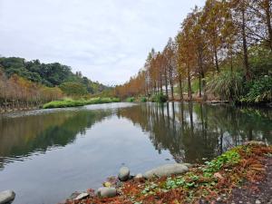einen Fluss mit Bäumen an der Seite in der Unterkunft 慕杉居 in Daxi