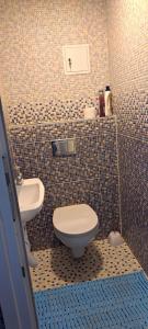 a bathroom with a toilet and a sink at Edelweiss Holiday House - Šventoji in Palanga