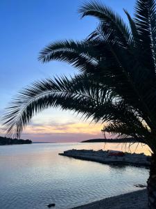 Billede fra billedgalleriet på Bolero Guest House i Lovište + 33 billeder