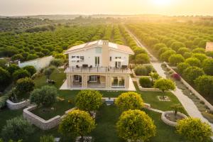 an aerial view of a house in a vineyard at Fiore di Vendicari B&B - Sicilian Charme, Lemon Grove and Sea in Noto