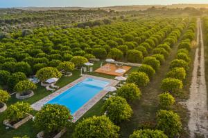 an aerial view of a vineyard with a swimming pool in the middle at Fiore di Vendicari B&B - Sicilian Charme, Lemon Grove and Sea in Noto